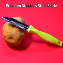 Ganesh peeler with stainless steel blade, classic design