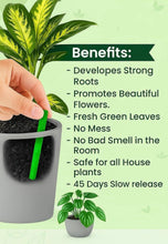 Plant Food Sticks Pack of 1