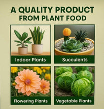 Plant Food Sticks Pack of 1