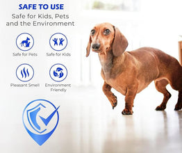 Floor Restore-eez 100 ml Pack of 1