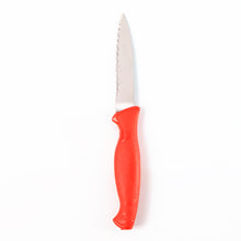 Stainless Steel Serrated Kitchen Knife (1 Pc)